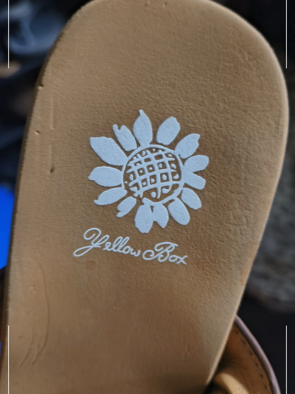 Yellow Box Brown Leather and Leopard Print Sandals - Picture 5 of 5